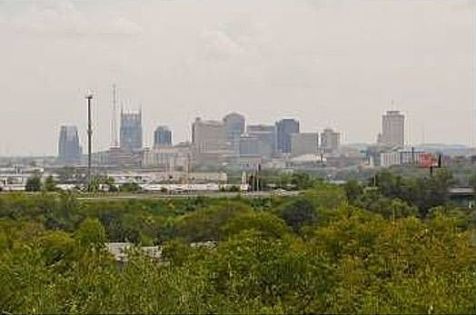 Downtown View