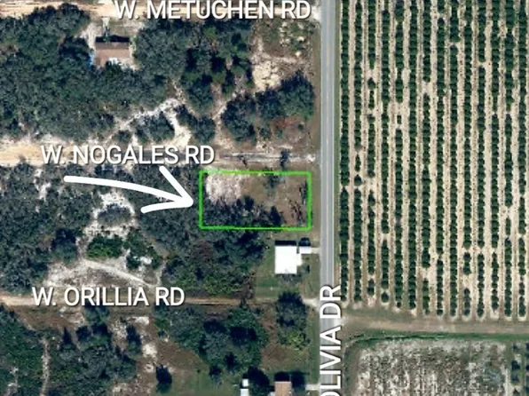 2709 W Nogales Rd, Avon Park, FL 33825