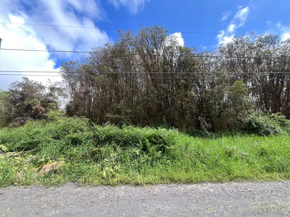 OAHU ST, Mountain View, HI 96771