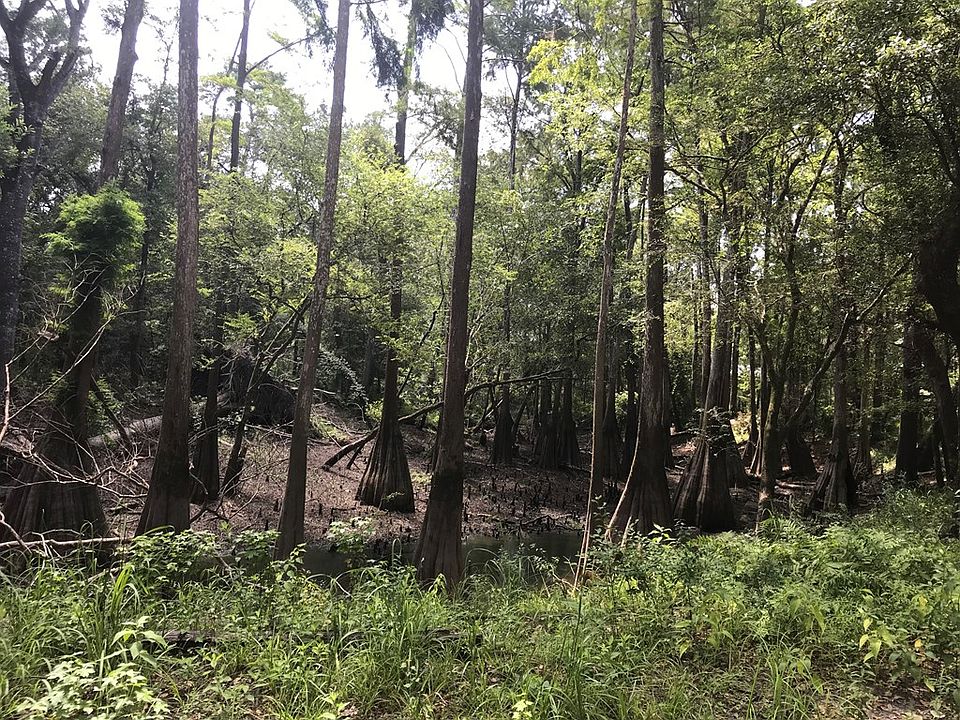 2nd image of 279-4 Lewis Ln