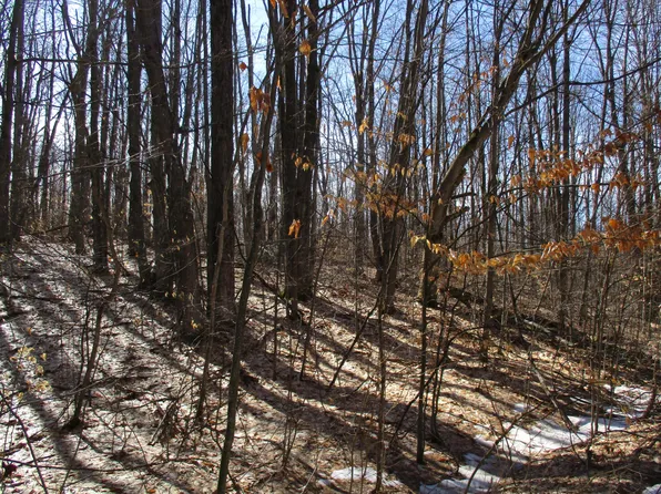 Hazelwood Ln, Frederic, MI 49733