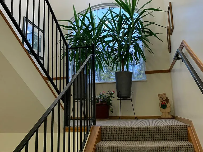 1005 Valley View Ln — Photo 3