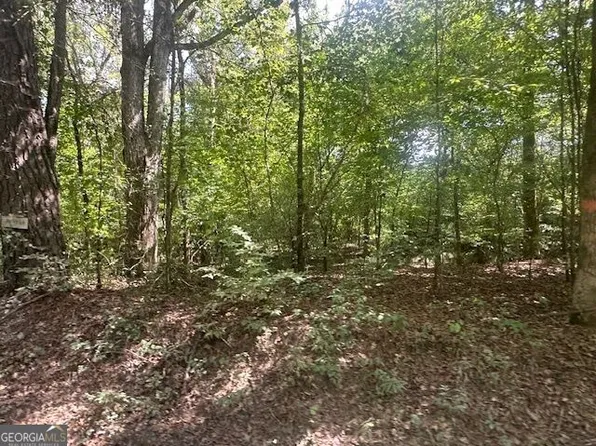 0 Millen Rd Tract 22, Monticello, GA 31064