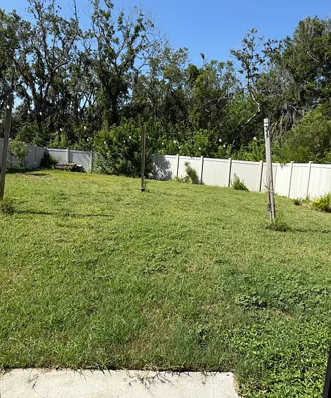 1895 Moon Cactus Ct — Photo 6