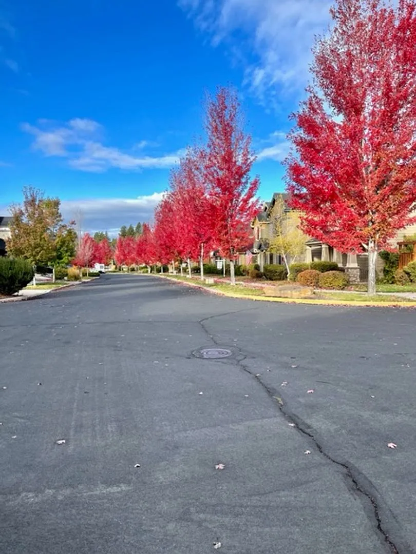Light & bright home in Sun Meadow! — Photo 2