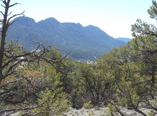 30860 County Road 356 #1, Buena Vista, CO 81211