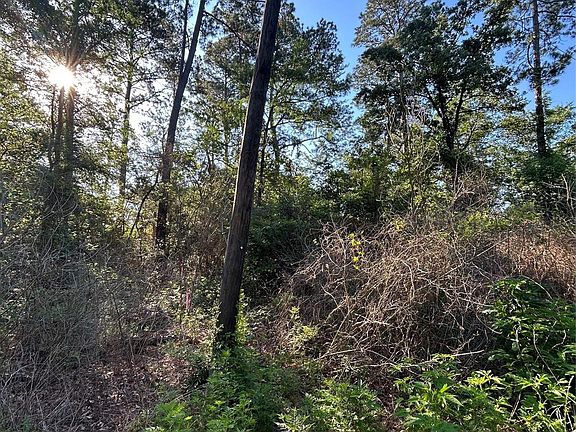 2nd image of White Oak Dr Lot 26