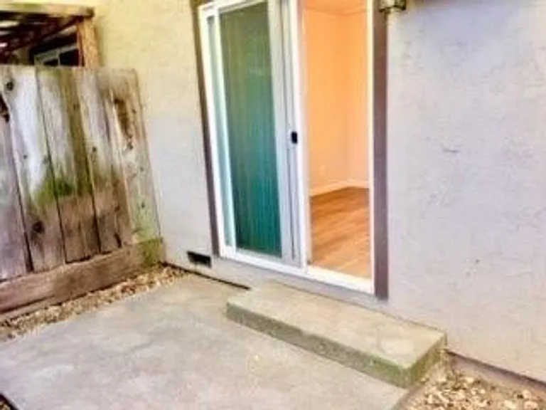 Lupin Manor — Photo 10