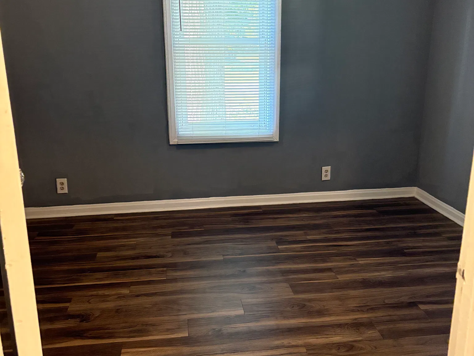 1 bed, $900 — Photo 4