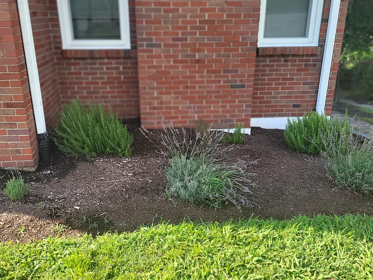 2404 Morena St — Photo 26