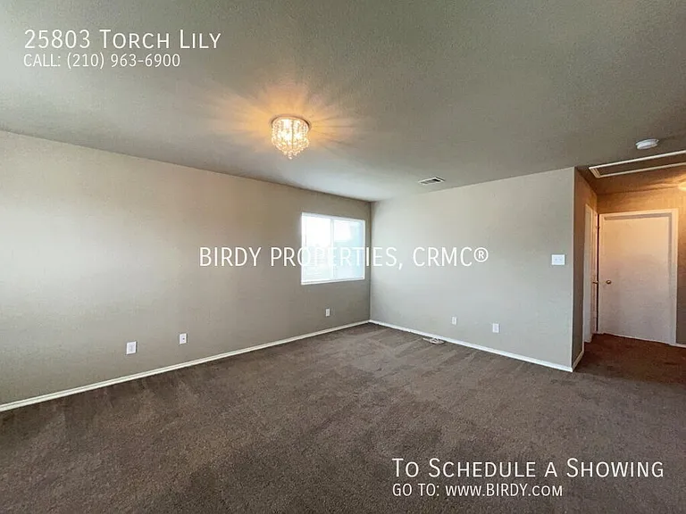 25803 Torch Lily — Photo 23