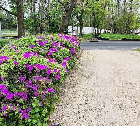 Driveway