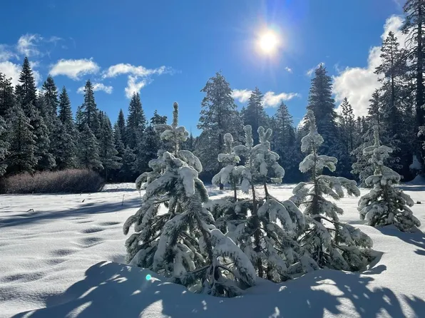 200 Creekside Dr #82, Bear Valley, CA 95223