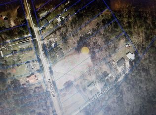 10615 Nero Cir, Olanta, SC 29114