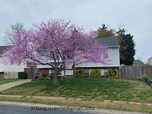 316 Argus Ln Photo 1