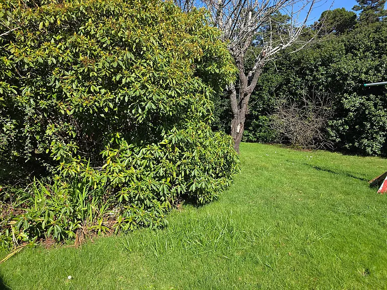 1804 Northcrest Dr — Photo 8