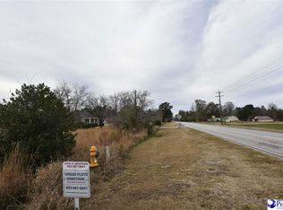 772 E Hampton St, Olanta, SC 29114