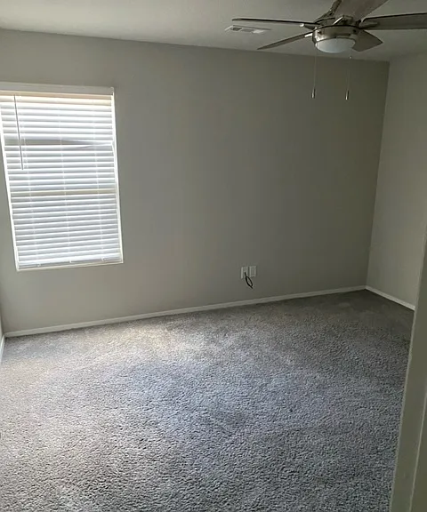 1237 S Ivory Bill Ln — Photo 10