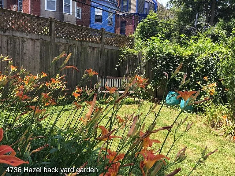 Back yard garden