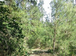 27072 Riley Rd, Waller, TX 77484