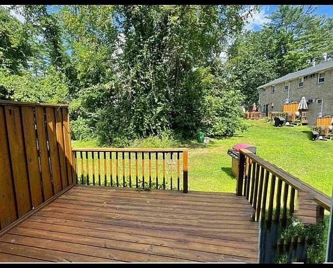3 bed, 1.5 bath, 1400 sqft, $2,775 — Photo 4