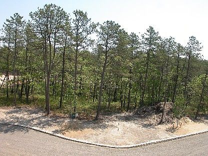 1st image of 8 Sophia Ct