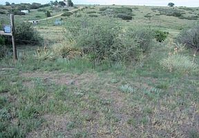 4th image of 4695 Chaparral Rd