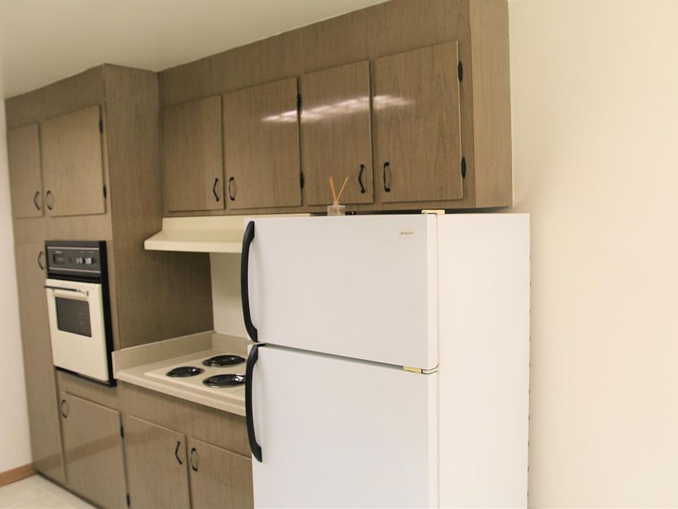 Gorgeous kitchen cabinets, plus dishwasher, stove, oven, and refrigerator!