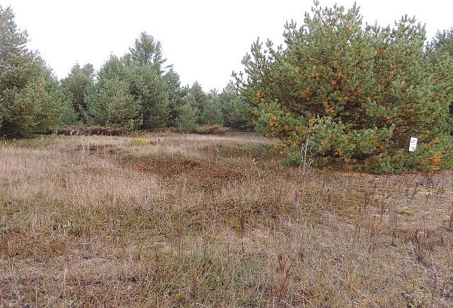 1st image of 36ACRE S North Sunrise Dunes Cir