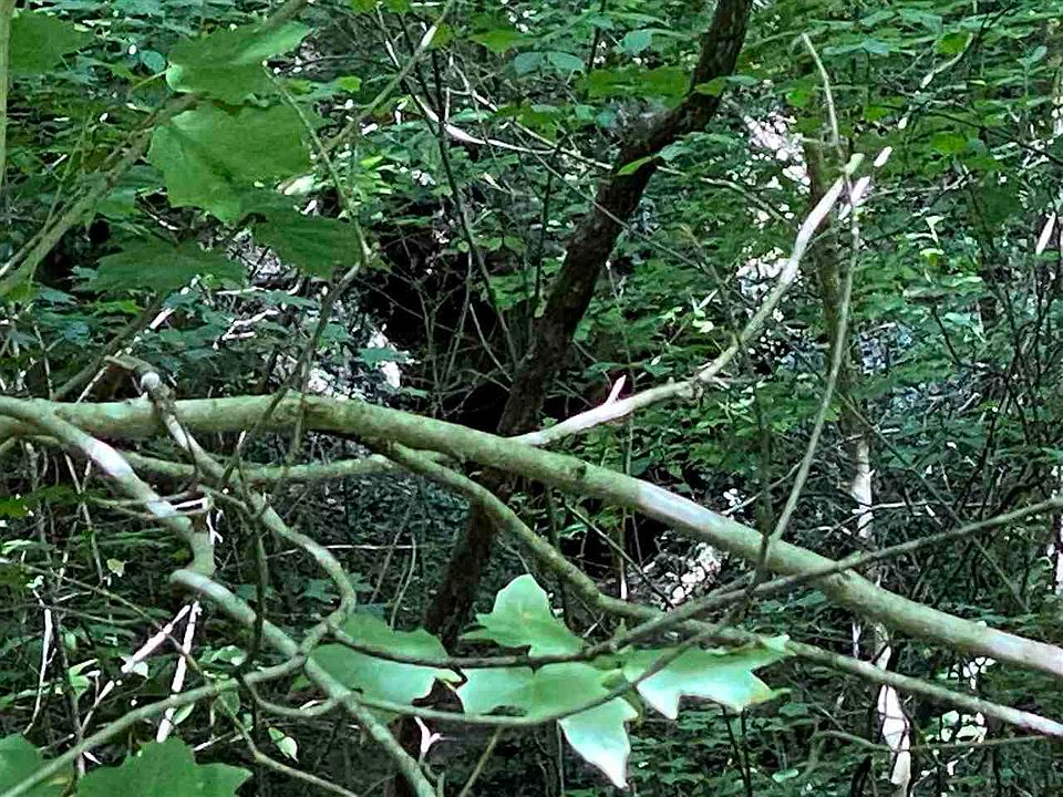 Barren River Rd, Bowling Green, KY 42101 Zillow