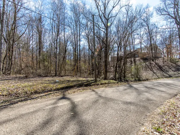 0 Salt Ln Lot 39, Savannah, TN 38372
