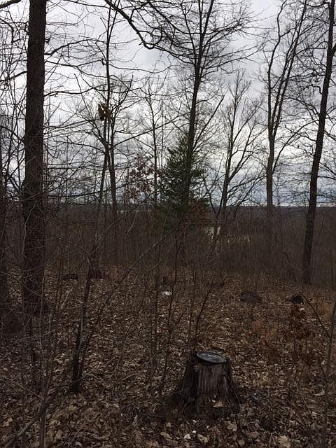 2nd image of 1113 Harmon Creek Rd