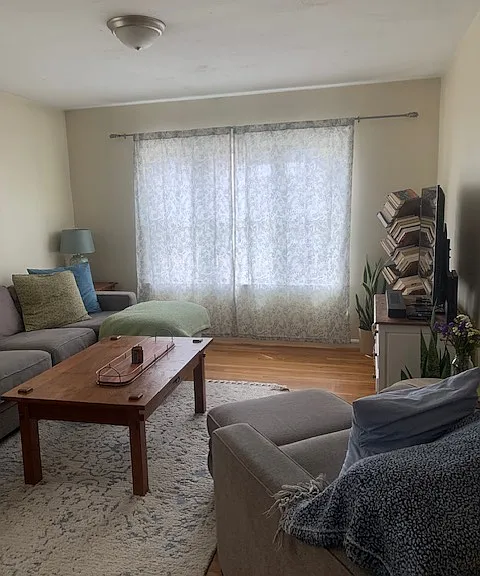 overview- living room