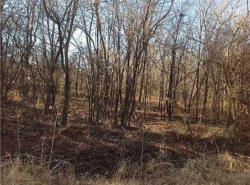2nd image of Rustic Acres