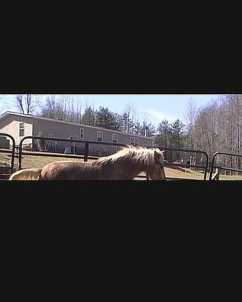 3rd image of 1018 Bob Gauldin Rd