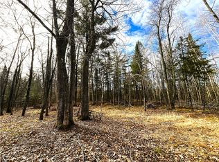 N Irish Rd, Exeland, WI 54835