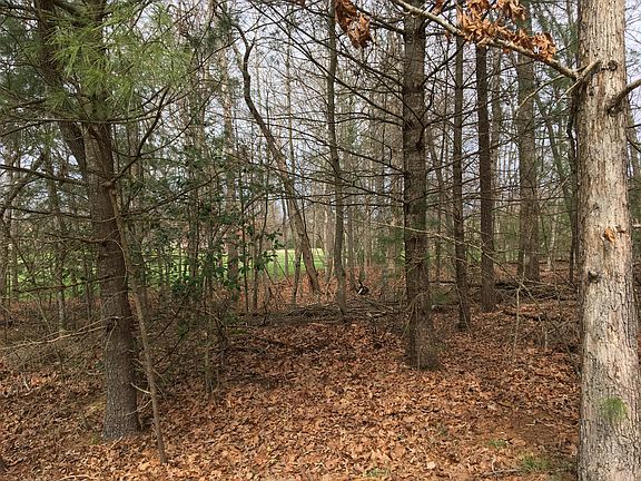 4th image of Forest Hill Ter