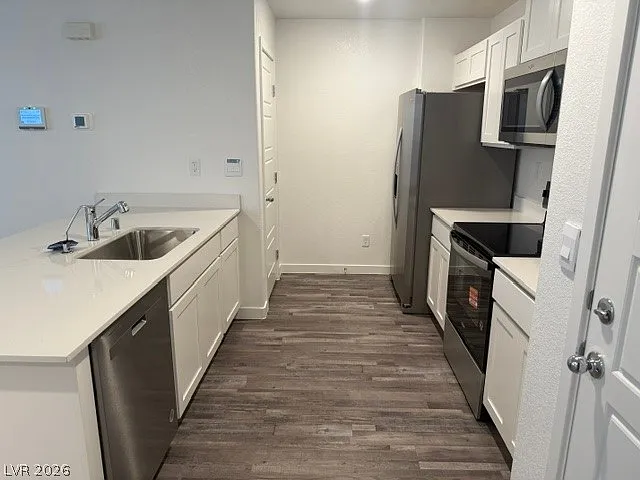 920 Rosy Starling St — Photo 5