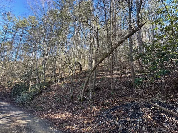 0 S Spring St, Hot Springs, NC 28743