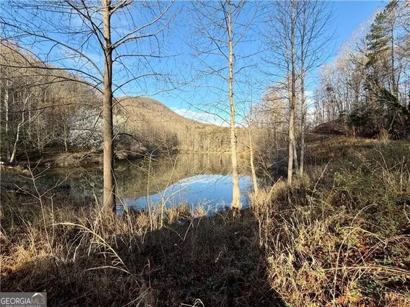 1565 Shoal Creek Rd, Clermont, GA 30527