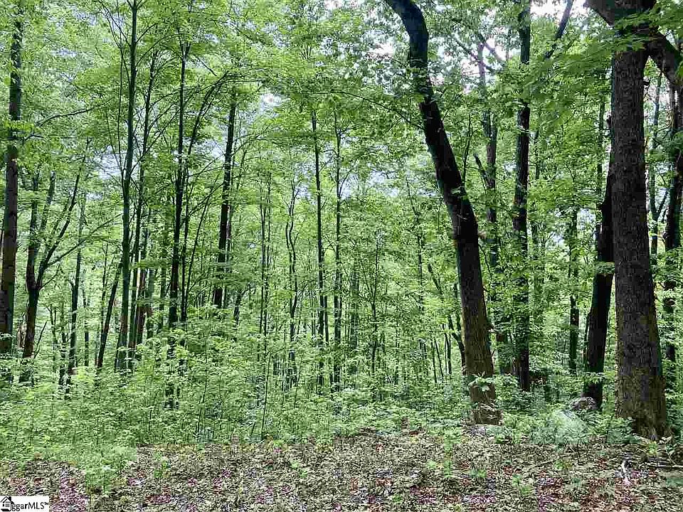 1st image of 1334 Panther Park Trl