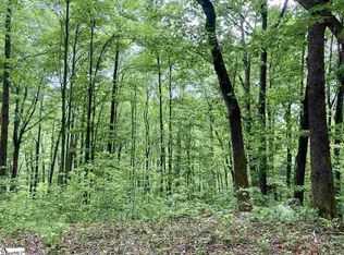 1334 Panther Park Trl, Travelers Rest, SC 29690