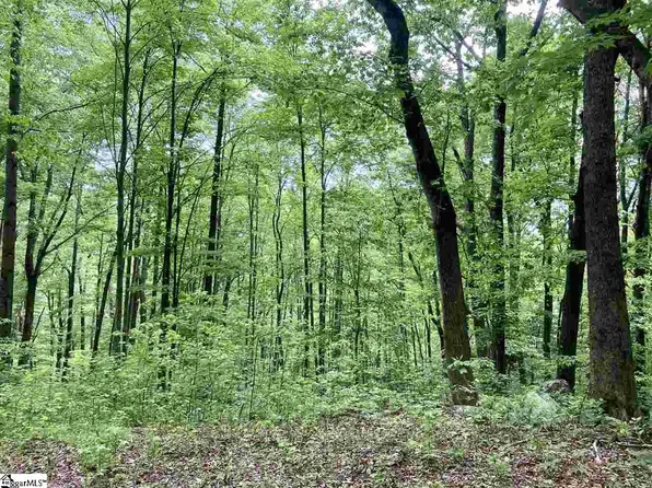 1334 Panther Park Trl, Travelers Rest, SC 29690