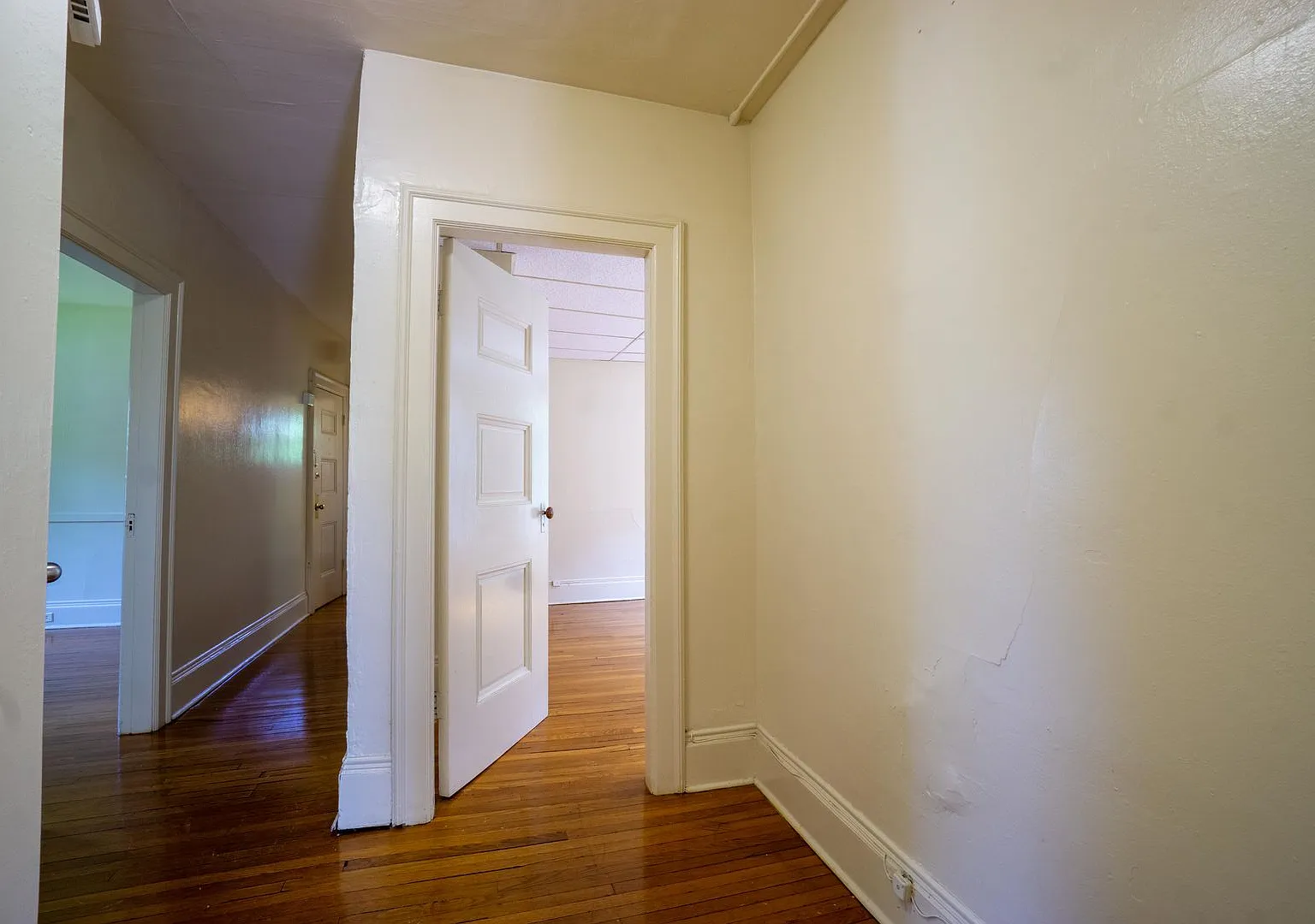 117 Concord Apt 2 - Available 6/1/27 - Great Value Hardwood Floors Private Porch — Photo 1