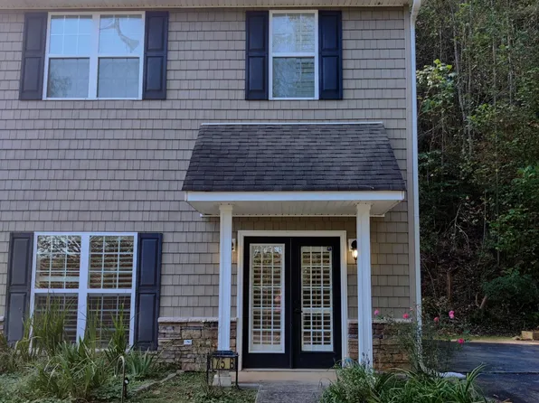 175B Boardtown Rd, Ellijay, GA 30540