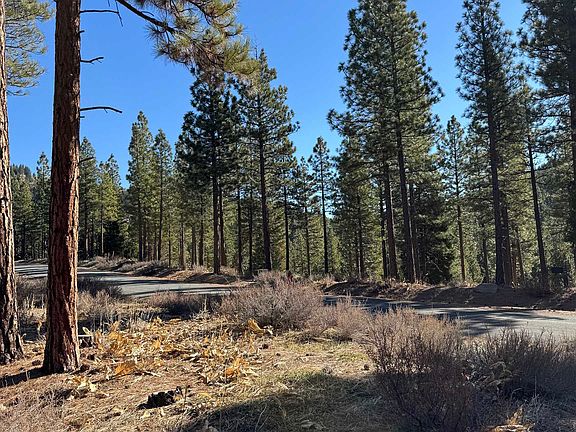 5th image of 78 S Ridge Rd