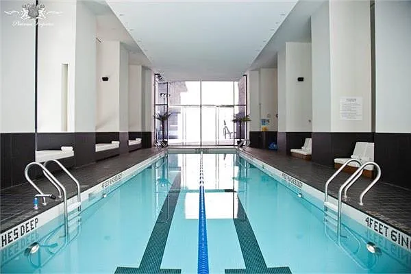 Rented by Platinum Properties | media 41