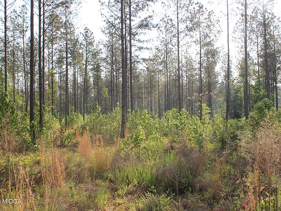 3rd image of 0 Watson Rd E Tract 7