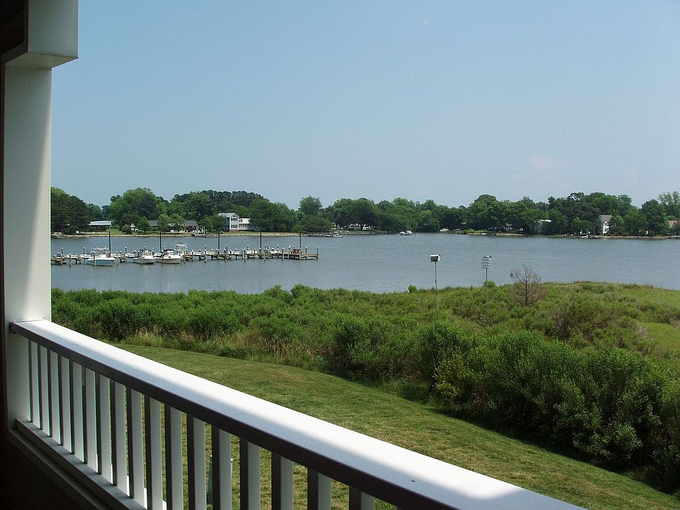 View From Deck