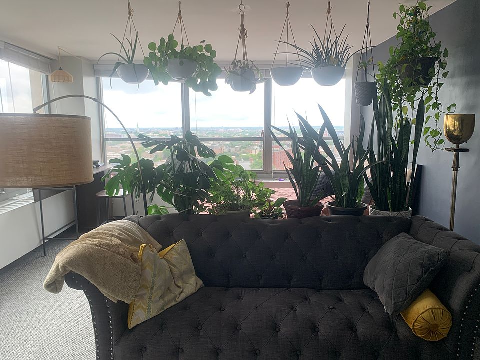 Living room with plant wall.